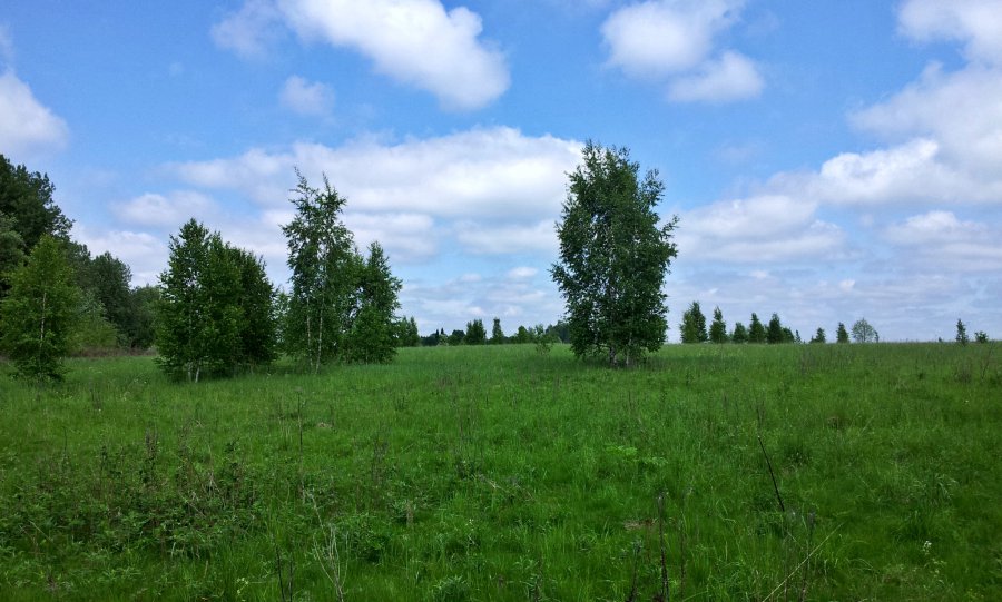 Купить Участок В Новопетровское Истринского